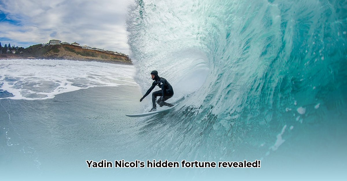 yadin-nicol-net-worth